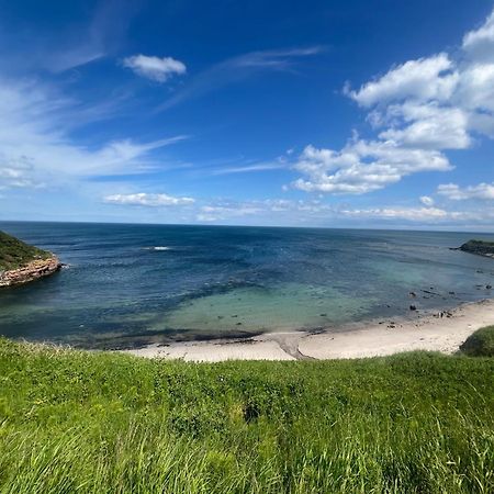 Berwick Holiday Park Haven المظهر الخارجي الصورة